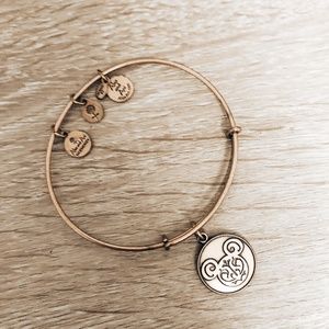 Disney Bracelet by Alex and Ani